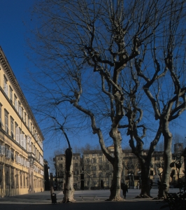 Lucca, Palazzo Ducale e Piazza Napoleone