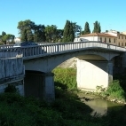 Pontedera (Pisa), Ponte Napoleonico
